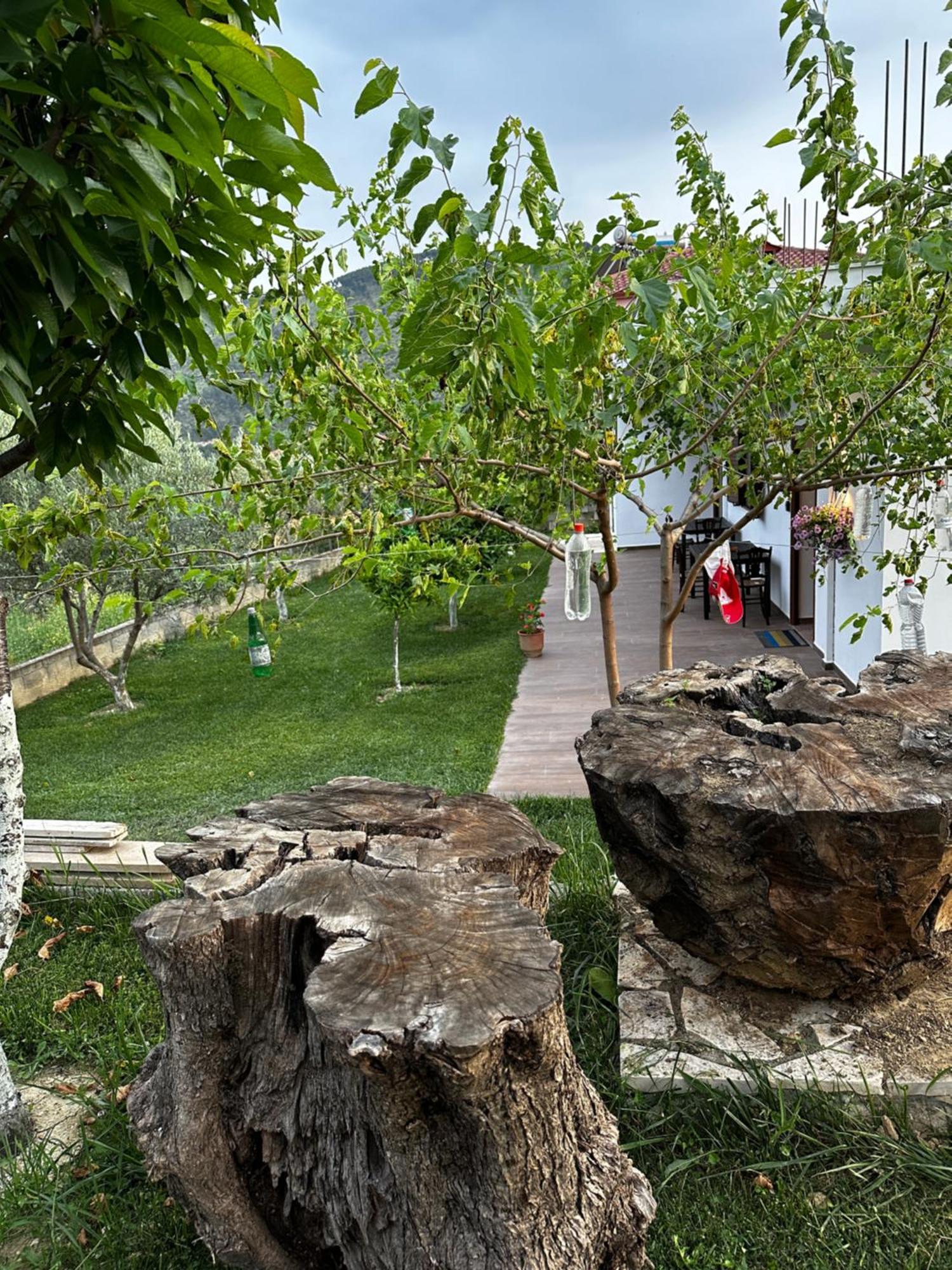 Guest House Gorani Berat Buitenkant foto